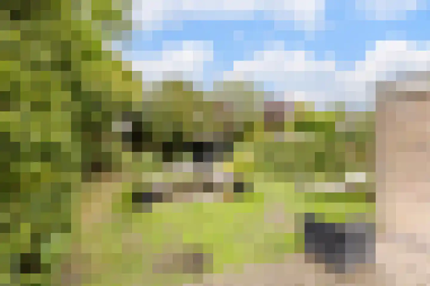 De Schoren 11 Heiloo thumbnail 27