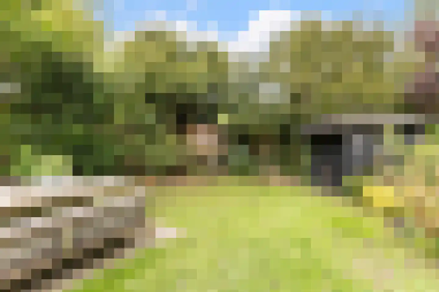 De Schoren 11 Heiloo thumbnail 28