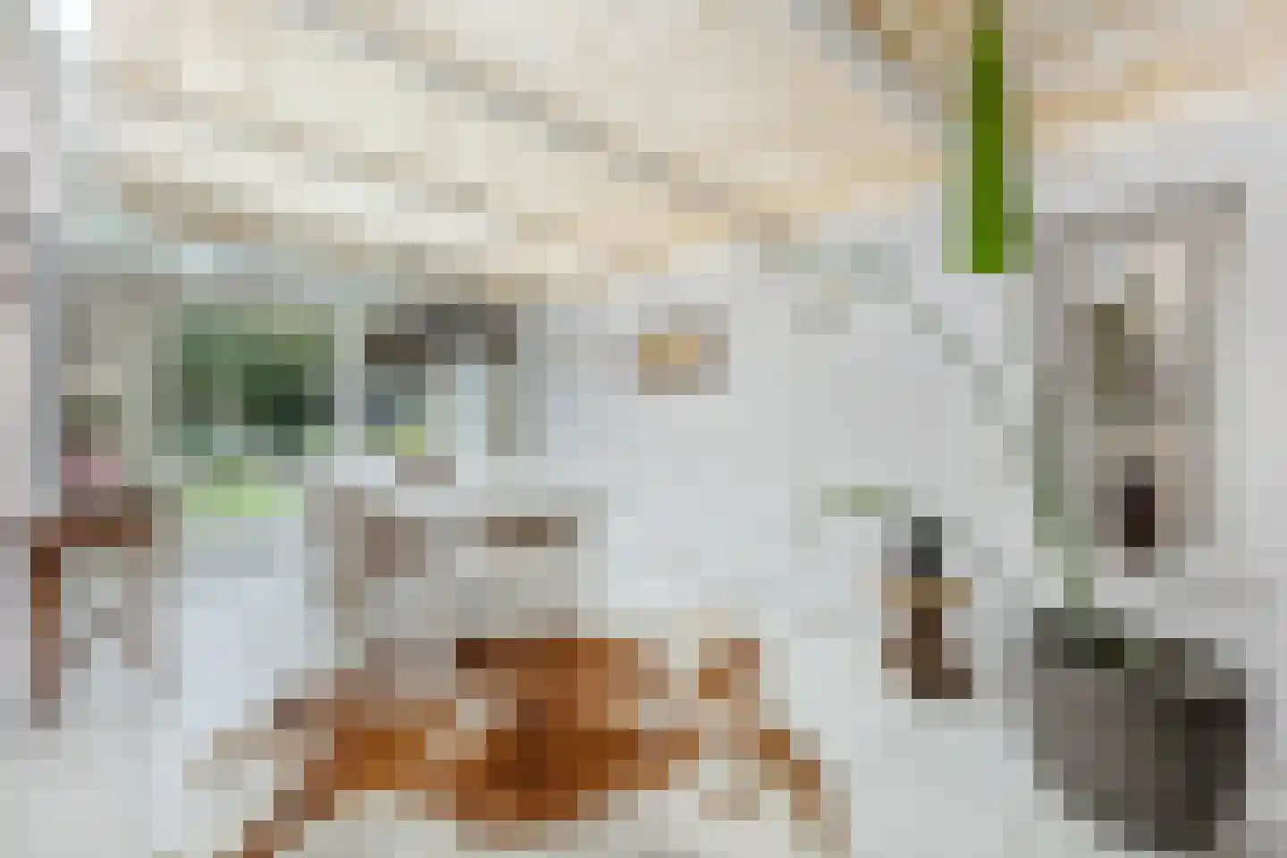 De Schoren 11 Heiloo thumbnail 6