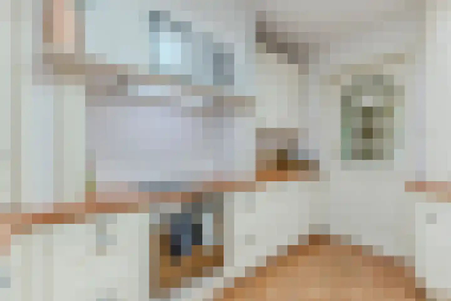 De Schoren 11 Heiloo thumbnail 9
