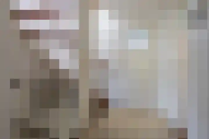 De Schoren 17 Heiloo thumbnail 13