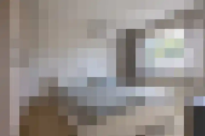 De Schoren 17 Heiloo thumbnail 14