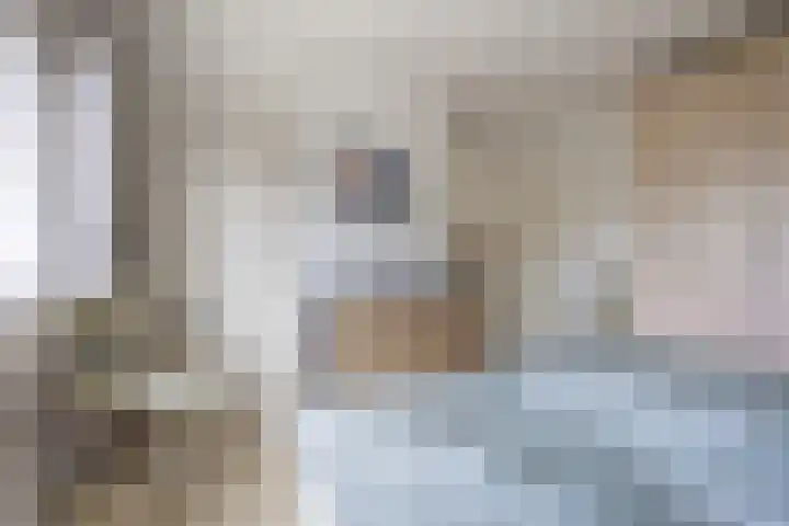 De Schoren 17 Heiloo thumbnail 15