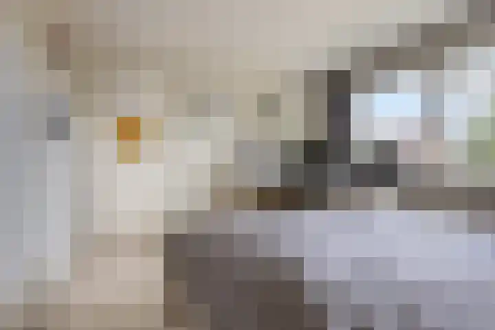 De Schoren 17 Heiloo thumbnail 17