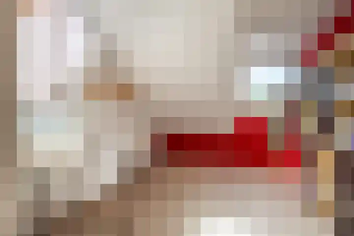 De Schoren 17 Heiloo thumbnail 22