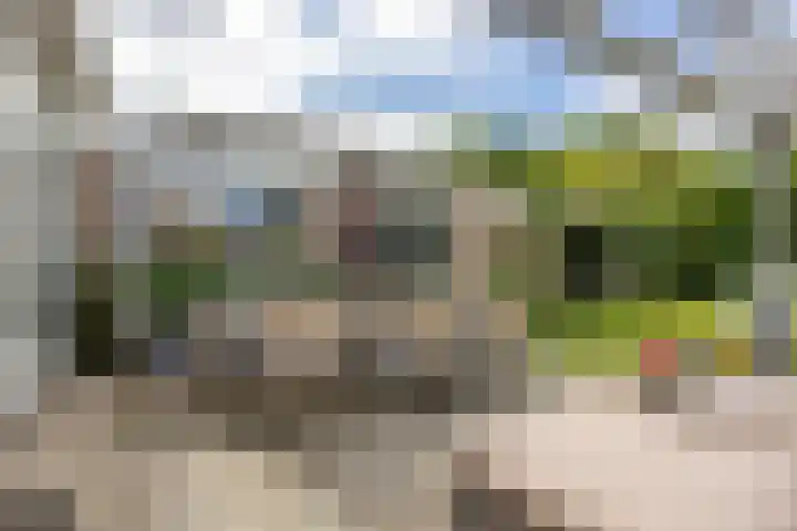 De Schoren 17 Heiloo thumbnail 27