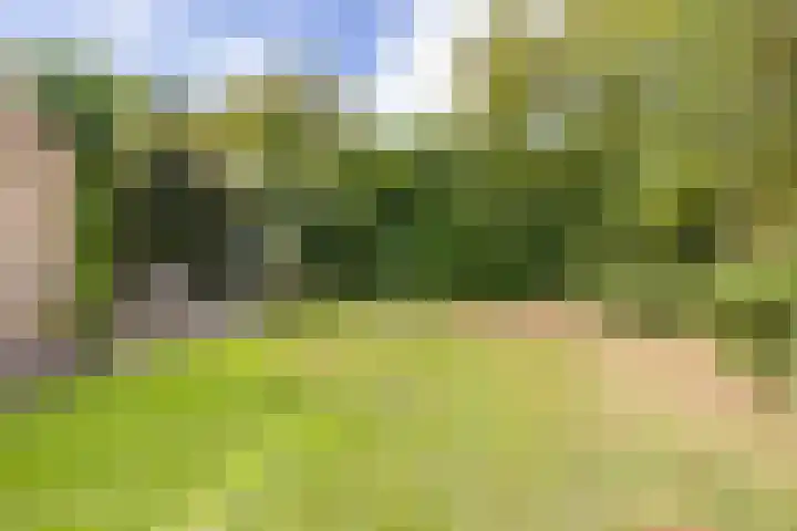 De Schoren 17 Heiloo thumbnail 28