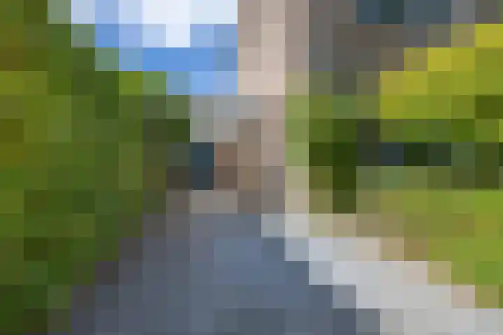 De Schoren 17 Heiloo thumbnail 31