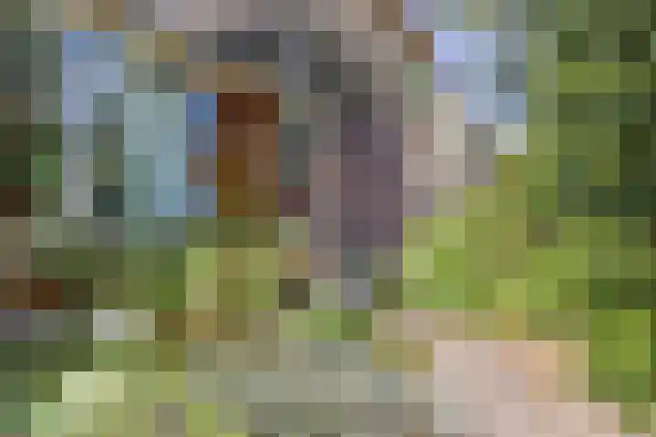 De Schoren 17 Heiloo thumbnail 32