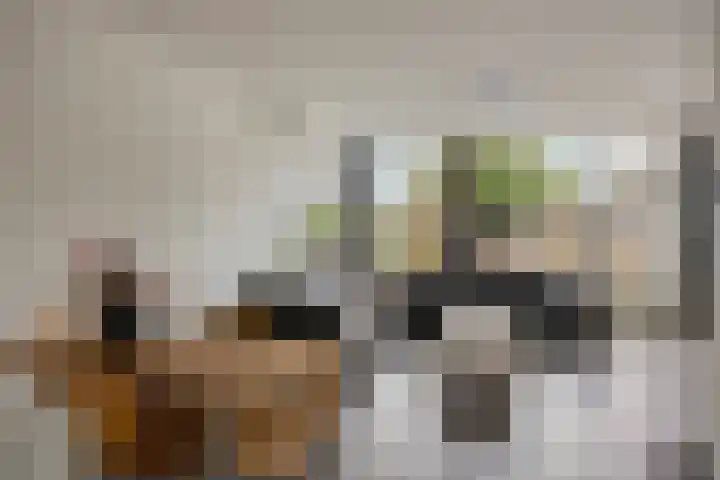 De Schoren 25 Malden thumbnail 10
