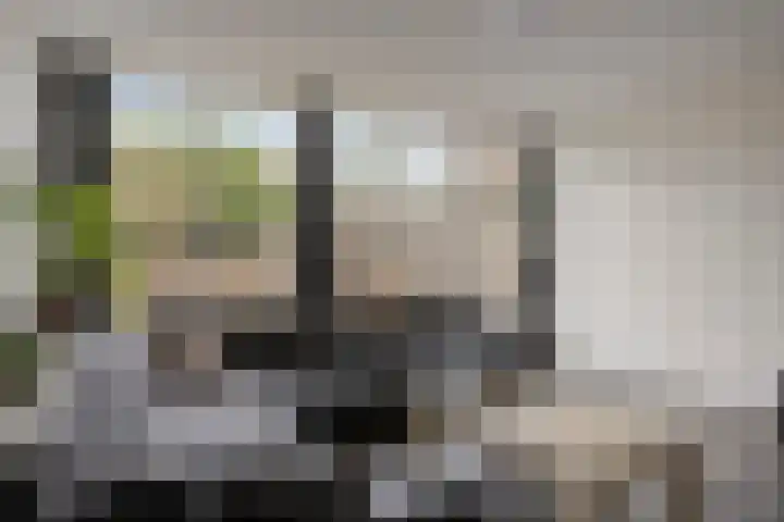 De Schoren 25 Malden thumbnail 12