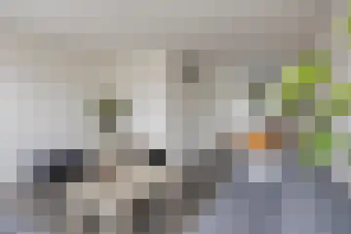 De Schoren 25 Malden thumbnail 14