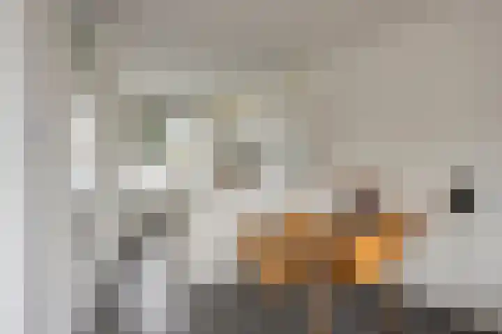 De Schoren 25 Malden thumbnail 15