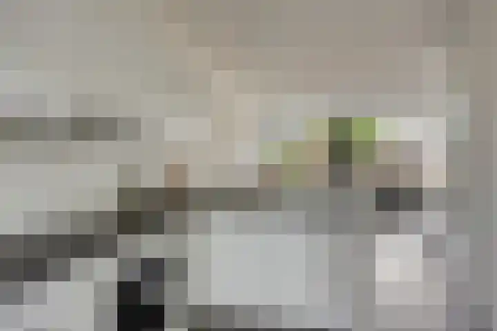 De Schoren 25 Malden thumbnail 17