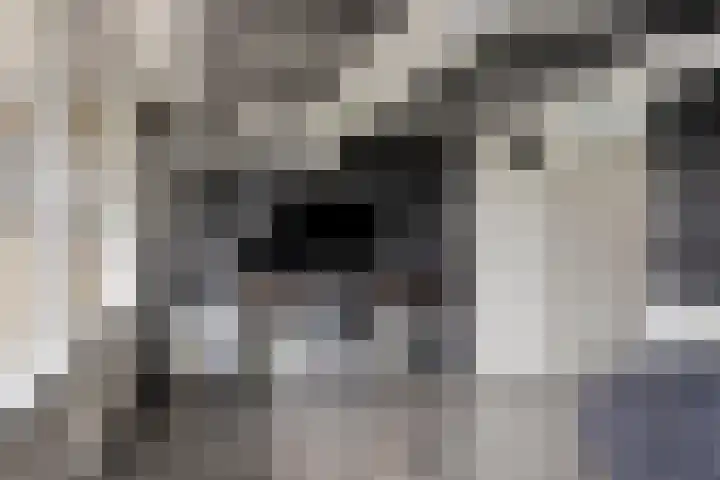 De Schoren 25 Malden thumbnail 25