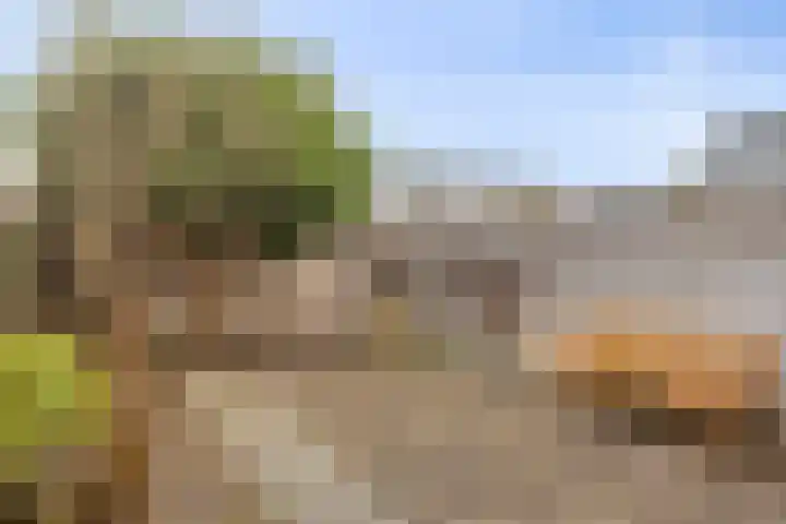 De Schoren 25 Malden thumbnail 35