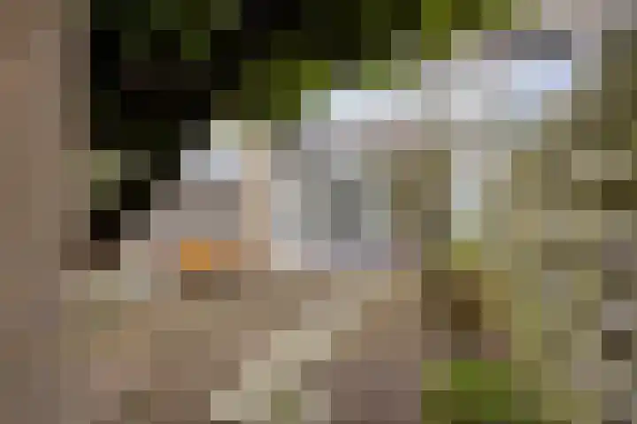 De Schoren 25 Malden thumbnail 36