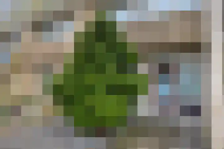 De Schoren 25 Malden thumbnail 42