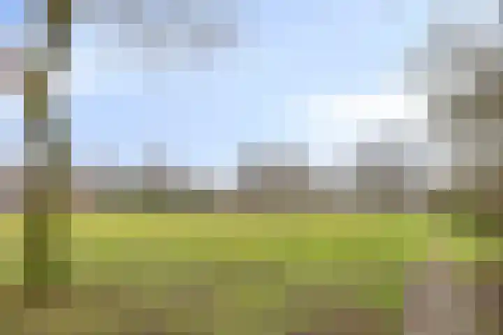 De Schoren 25 Malden thumbnail 43