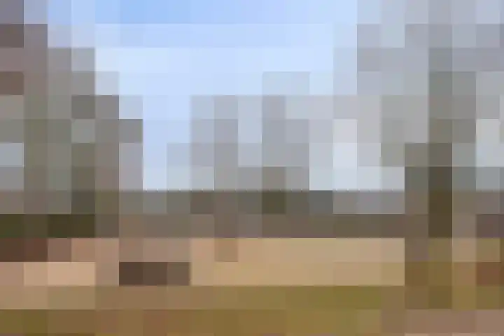 De Schoren 25 Malden thumbnail 44