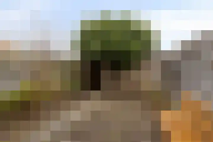 De Schoren 25 Malden thumbnail 5