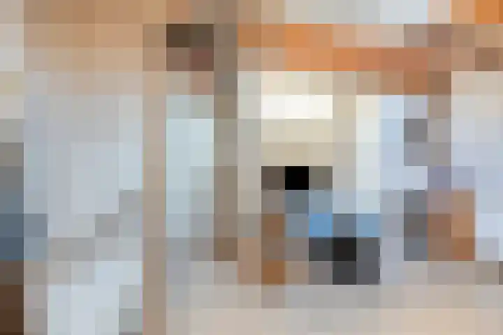 De Schoren 57 Malden thumbnail 27