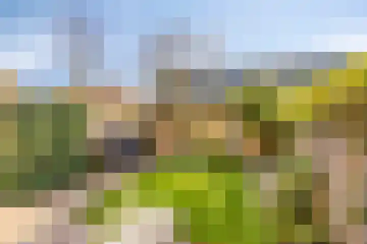 De Schoren 57 Malden thumbnail 34