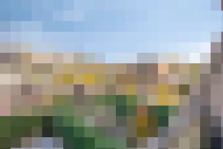 De Schoren 57 Malden thumbnail 37