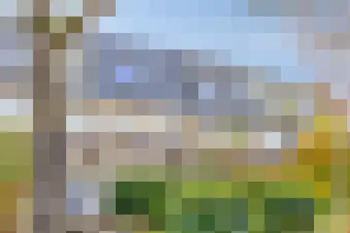 De Schoren 57 Malden thumbnail 40