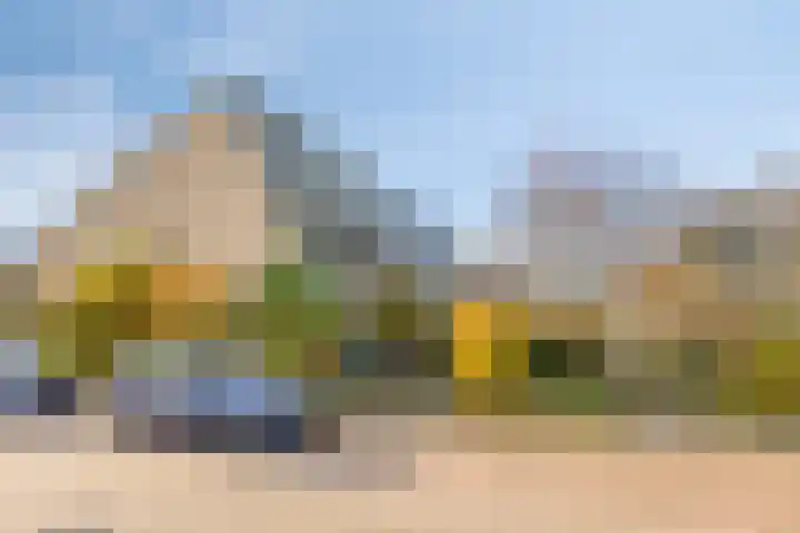 De Schoren 57 Malden thumbnail 41