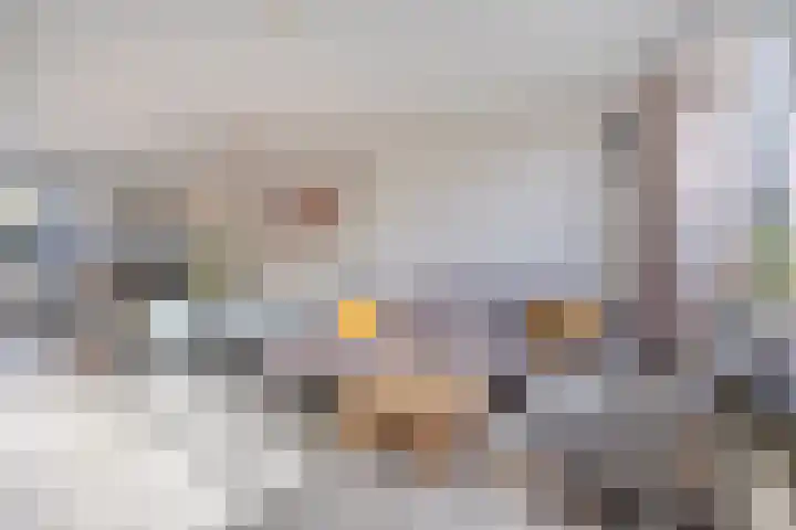 De Schoren 57 Malden thumbnail 8