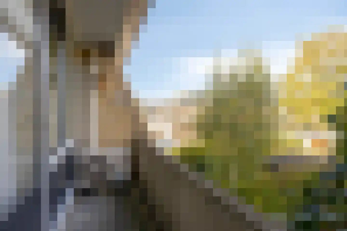 De Schoren 59 Malden thumbnail 21