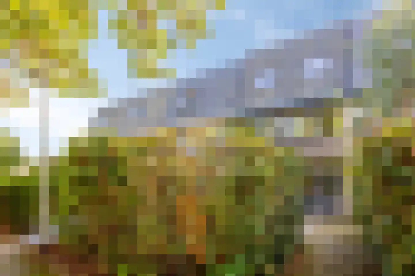 De Schoren 59 Malden thumbnail 37