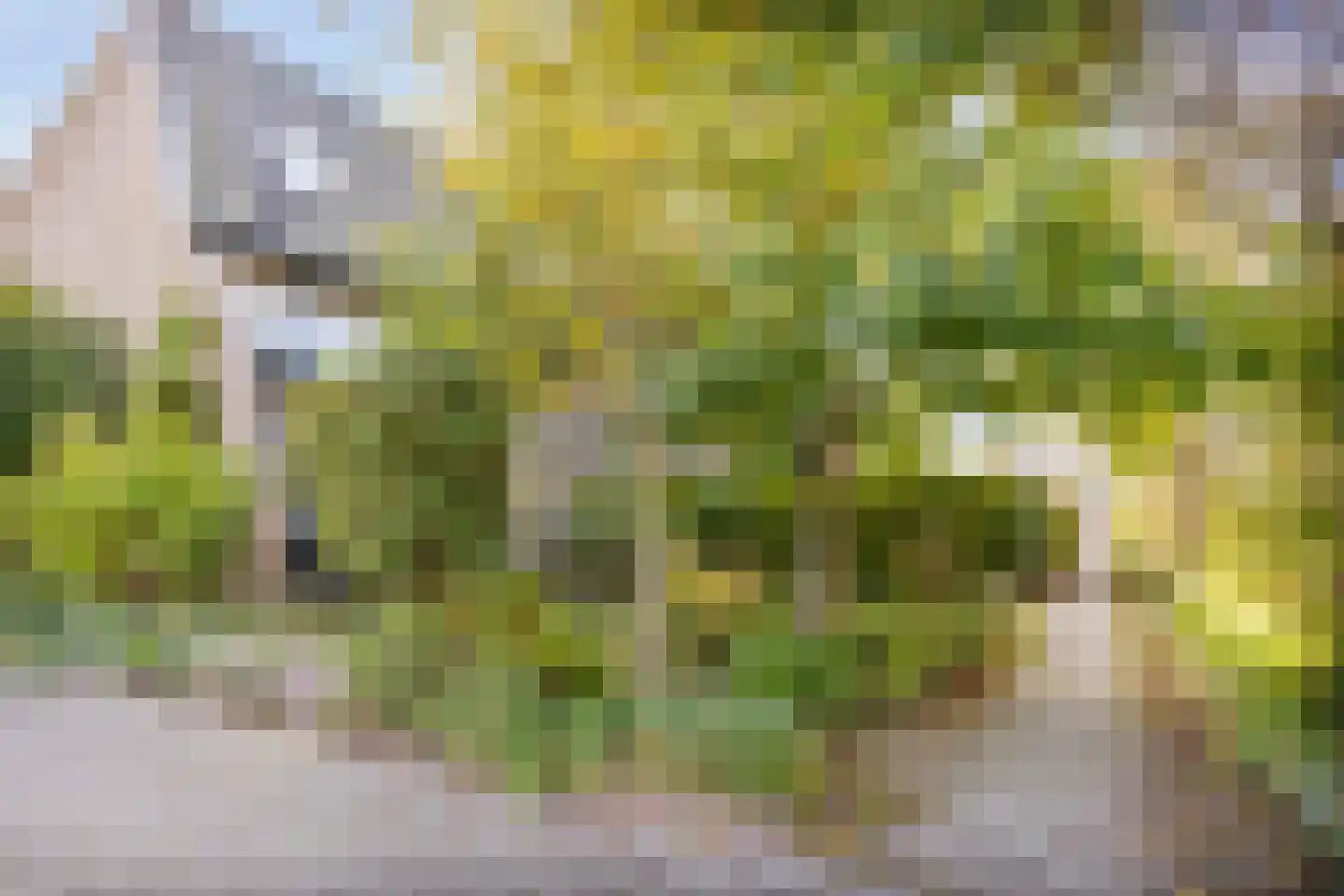 De Schoren 59 Malden thumbnail 38