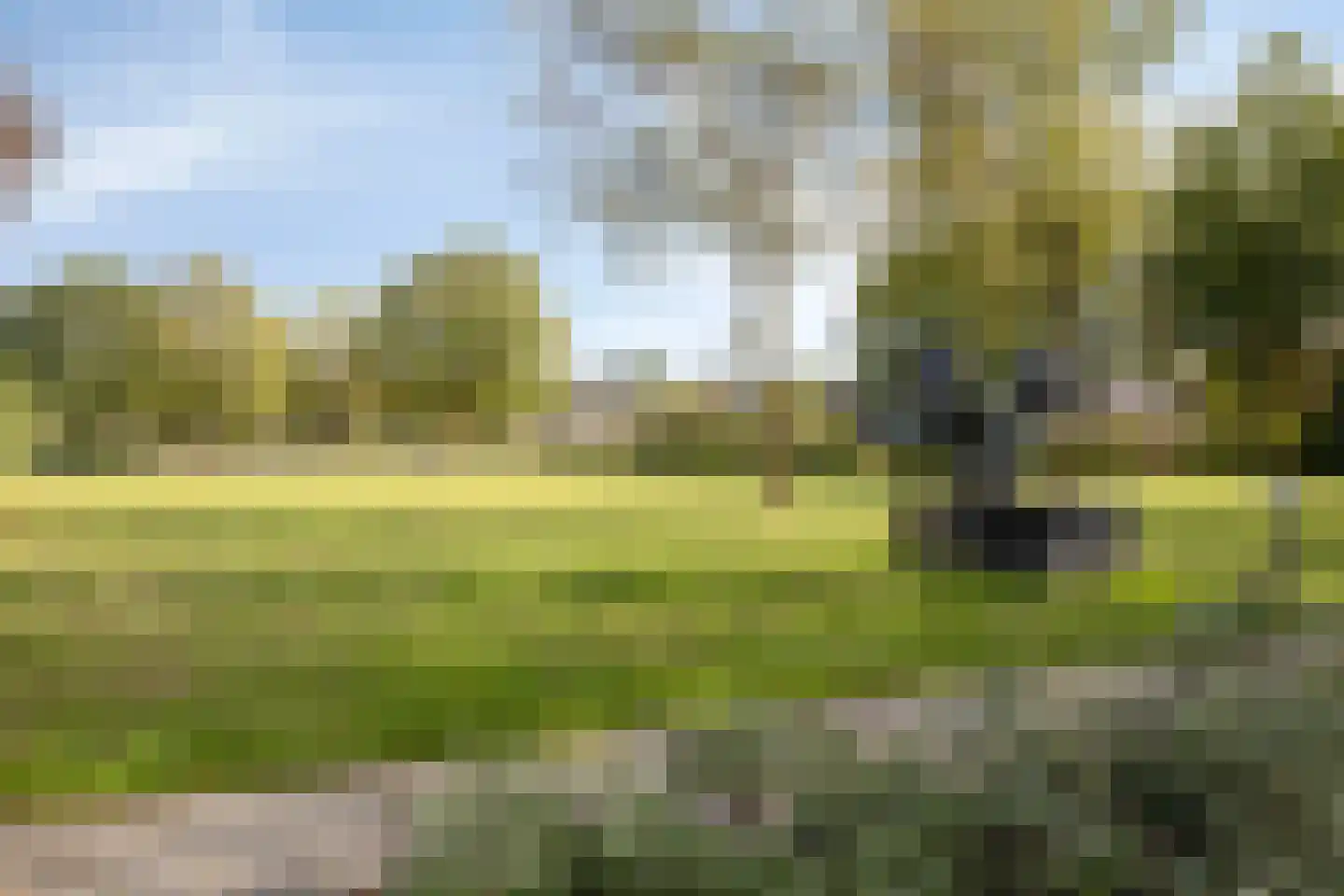 De Schoren 59 Malden thumbnail 39