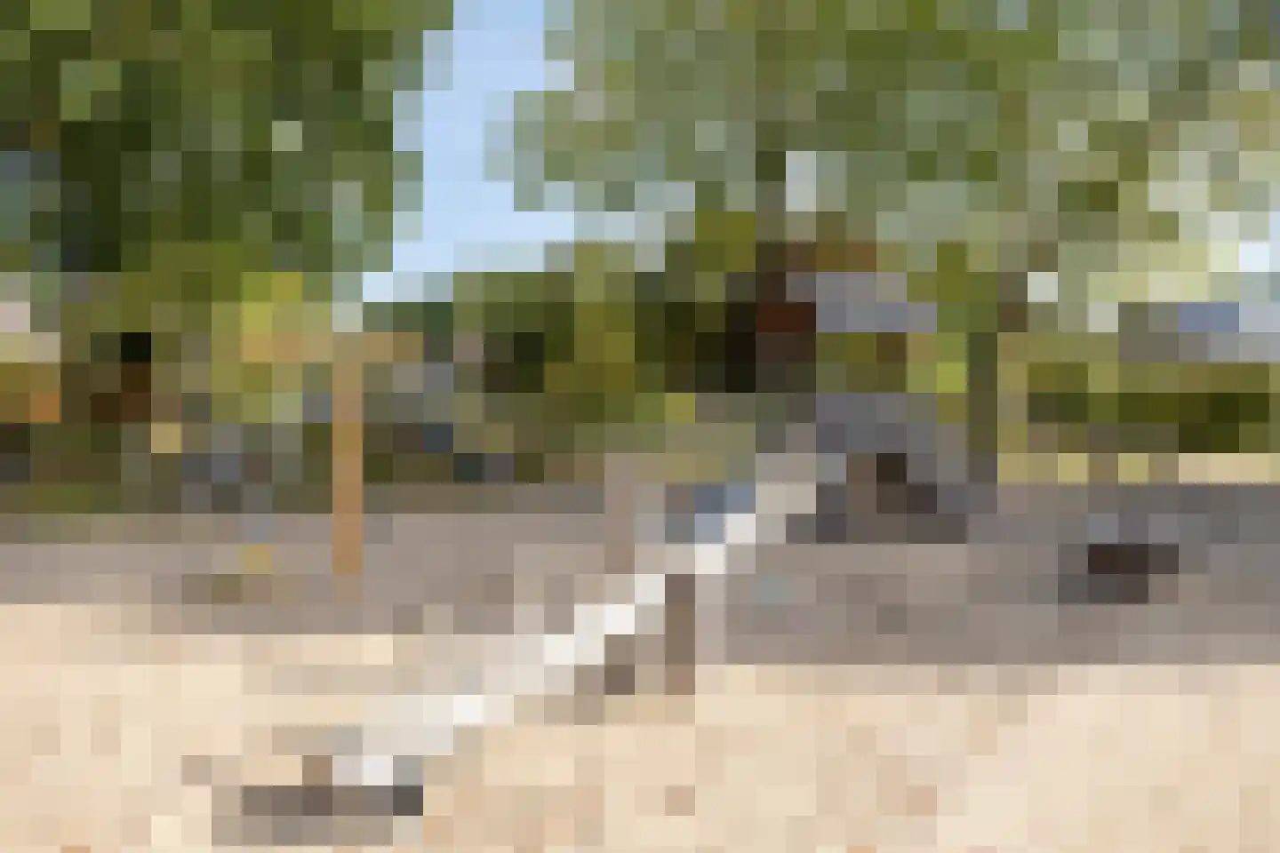 De Schoren 59 Malden thumbnail 40