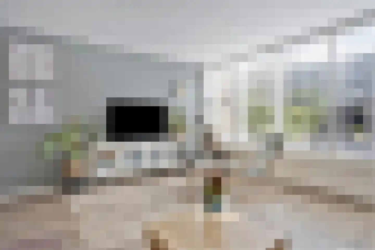 De Schoren 59 Malden thumbnail 8