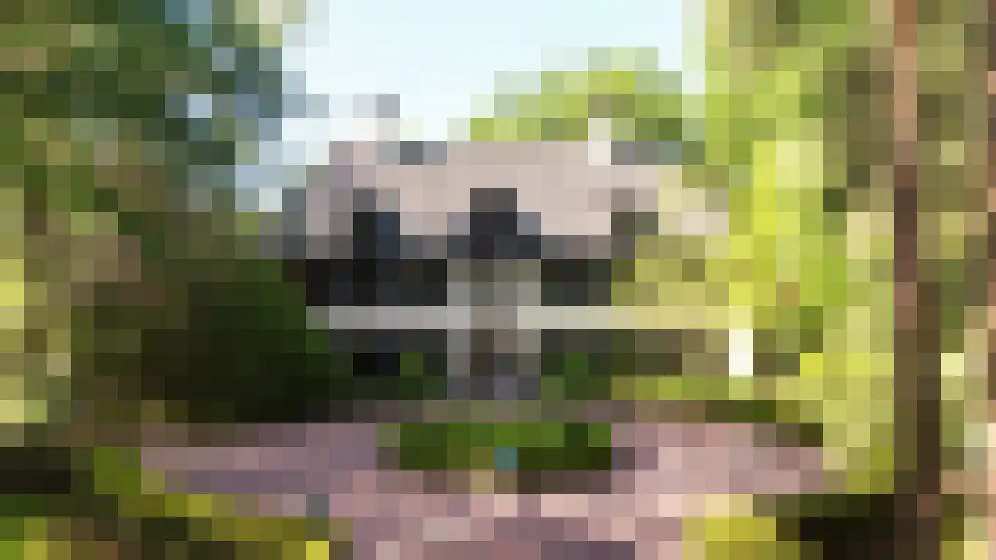 De Schoten 23 Hoogeloon