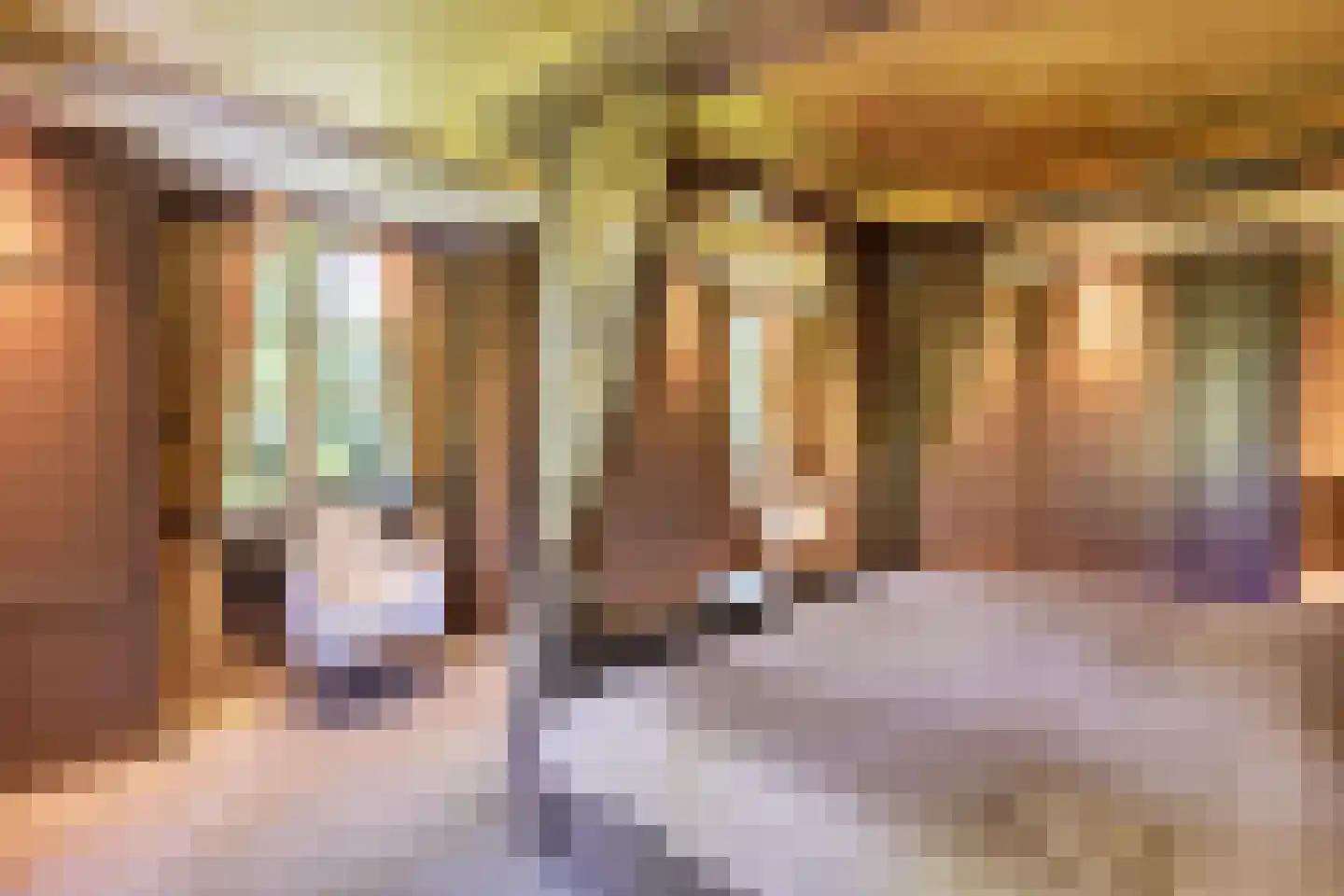 De Schoten 23 Hoogeloon thumbnail 14