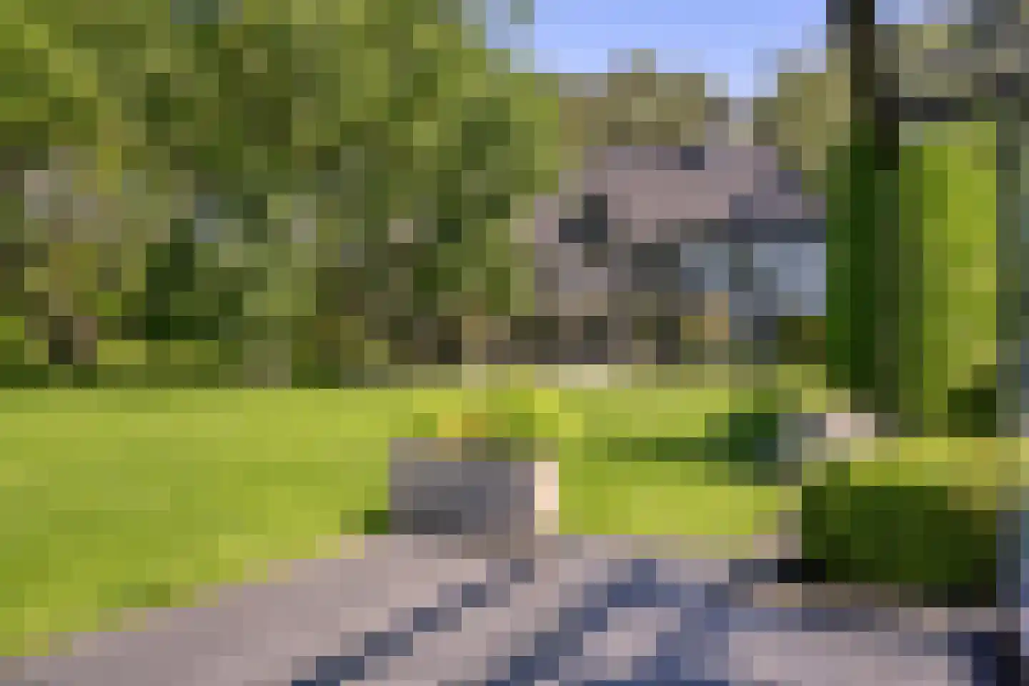 De Schoten 23 Hoogeloon thumbnail 28