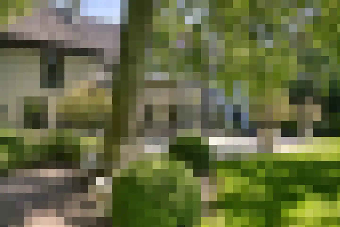 De Schoten 23 Hoogeloon thumbnail 29