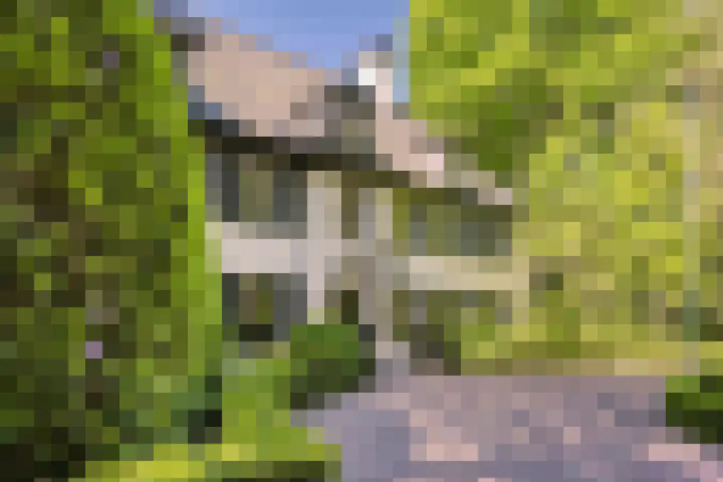De Schoten 23 Hoogeloon thumbnail 30