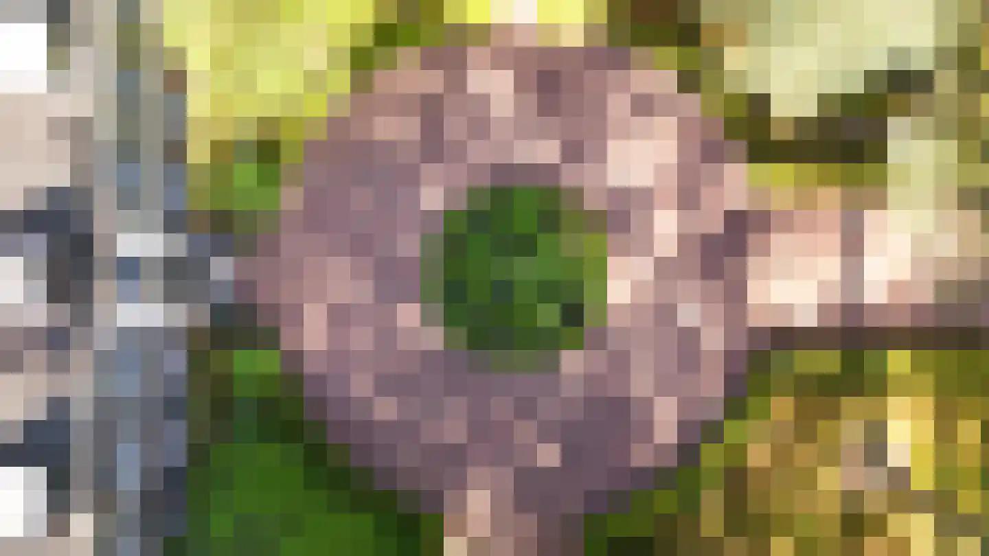 De Schoten 23 Hoogeloon thumbnail 31