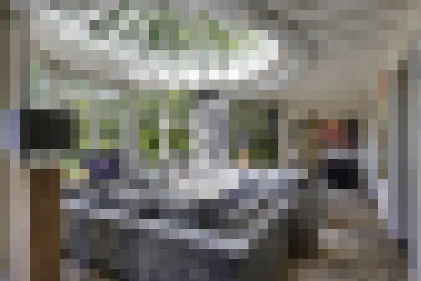De Schoten 23 Hoogeloon thumbnail 5