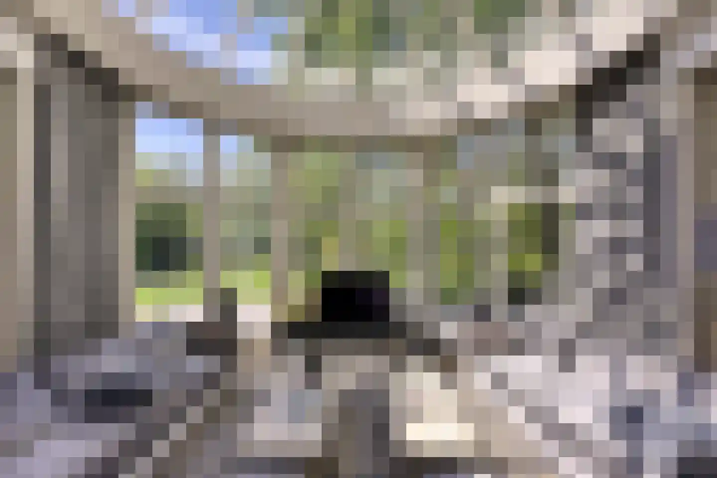 De Schoten 23 Hoogeloon thumbnail 6