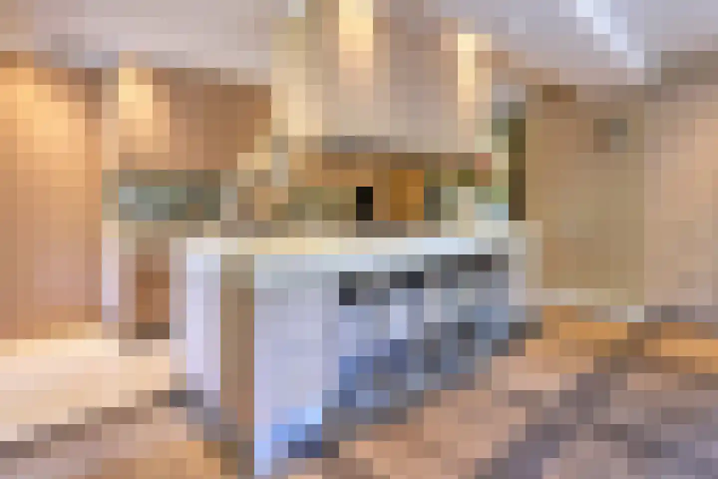 De Schoten 23 Hoogeloon thumbnail 7