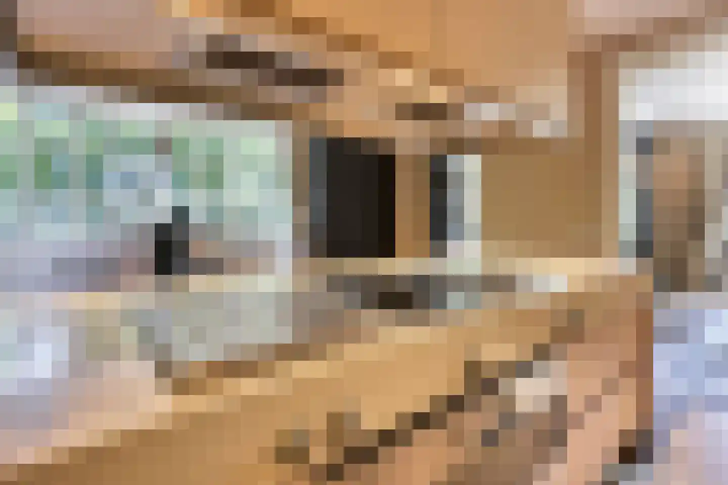 De Schoten 23 Hoogeloon thumbnail 8