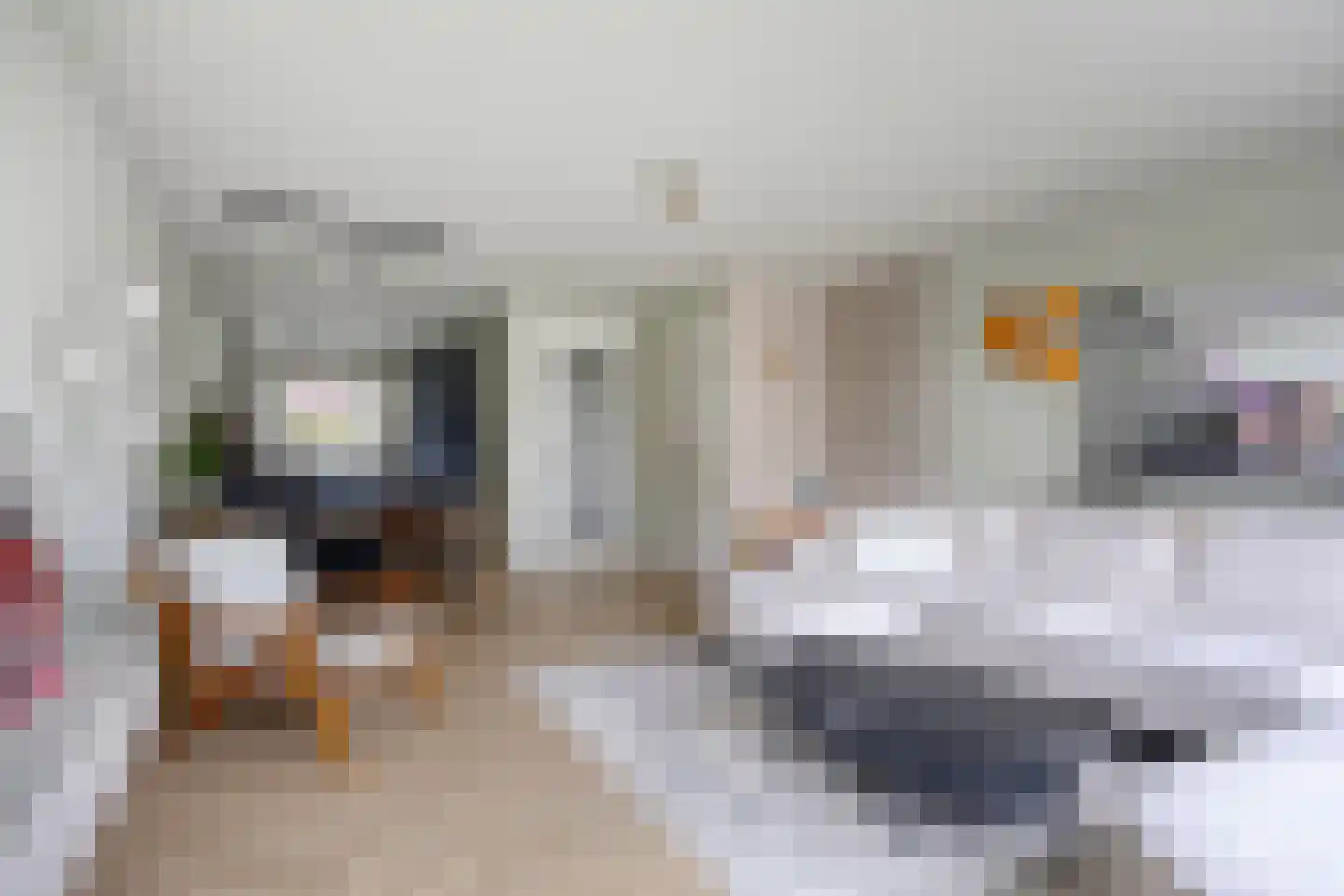 De Schotte 3 Best thumbnail 10