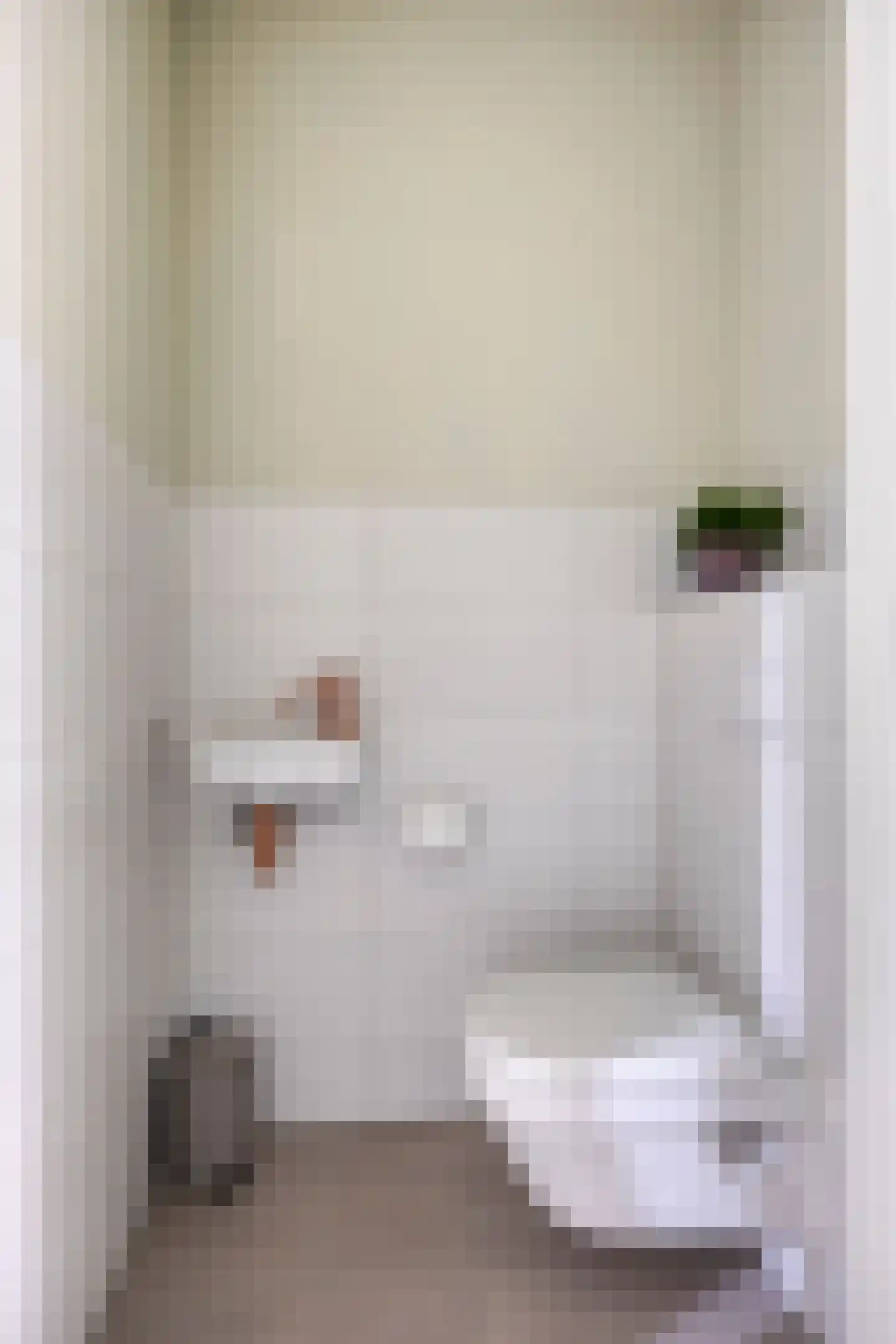 De Schotte 3 Best thumbnail 8