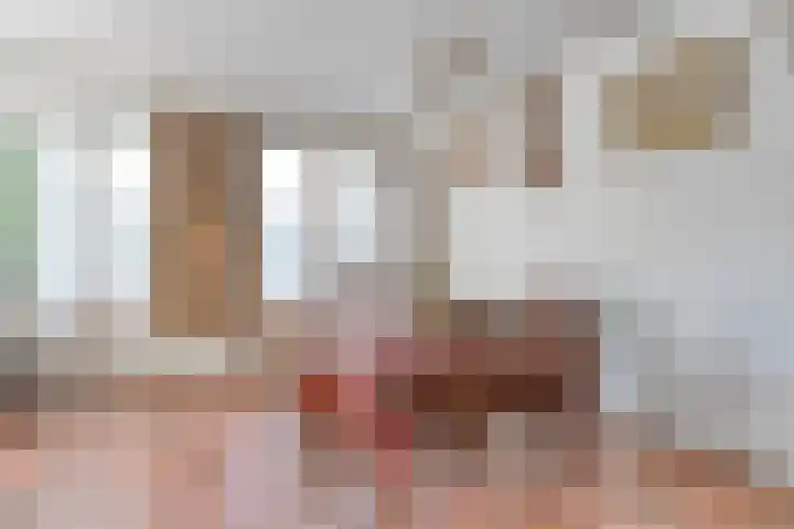 de Schout 1 Oirschot thumbnail 11